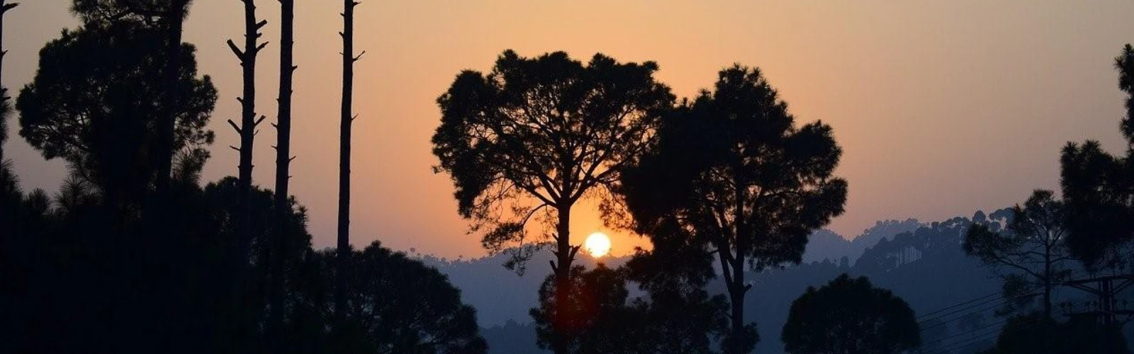 Best Hotels in Murree: Where to Stay for Comfort & Scenic Views