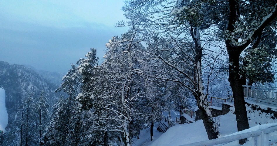 Ultimate Murree Travel Guide: Tips, Attractions & Travel Essentials