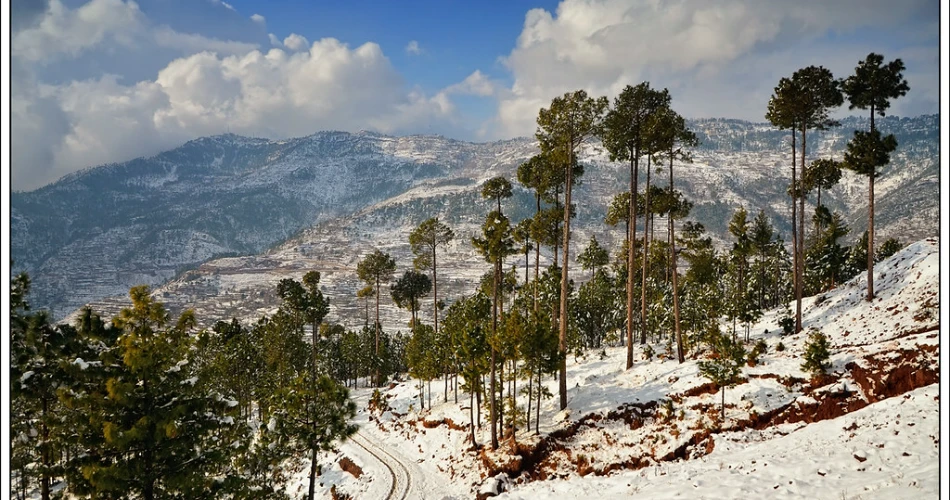 Ultimate Murree Travel Guide: Tips, Attractions & Travel Essentials