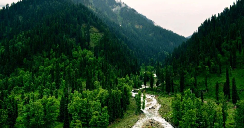Ultimate Murree Travel Guide: Tips, Attractions & Travel Essentials