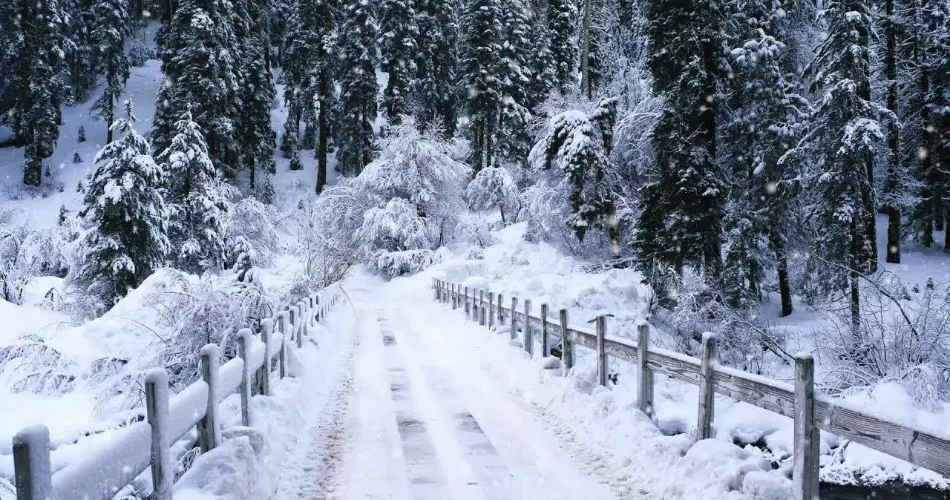 Ultimate Murree Travel Guide: Tips, Attractions & Travel Essentials