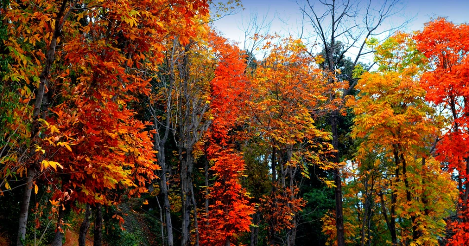 Murree Weather Guide: Best Time to Visit & What to Expect