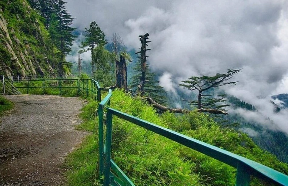 Murree Weather Guide: Best Time to Visit & What to Expect
