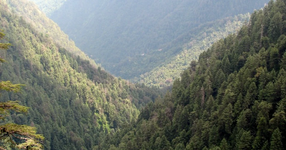 Top 10 Things to Do in Murree for an Unforgettable Trip